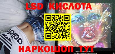винт Будённовск