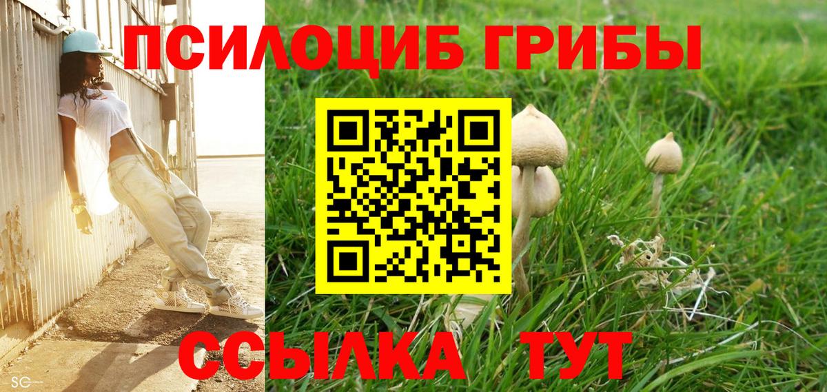 Петровск  Псилоцибиновые грибы Psilocybe  Вход с VPN 